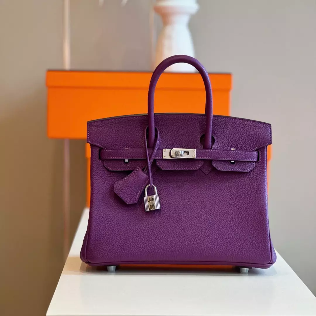 Hermes Birkin 25 Dark Purple Togo Leather Palladium Hardware