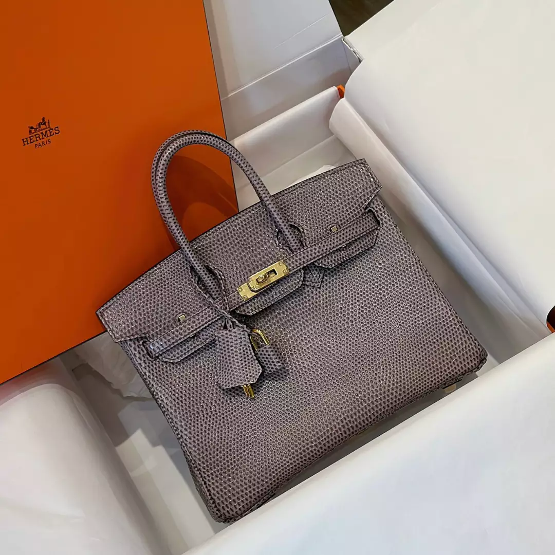 Hermes Birkin 25 Tris Fonce Genuine Lizard Leather Gold Hardware