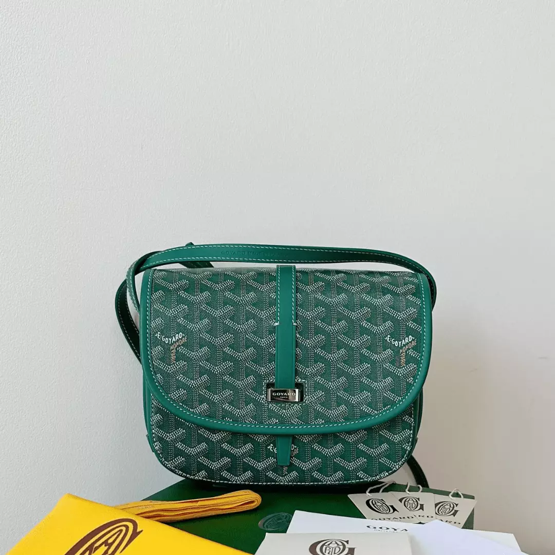 Goyard Super Green Handbag With Pattern 22x16x7cm