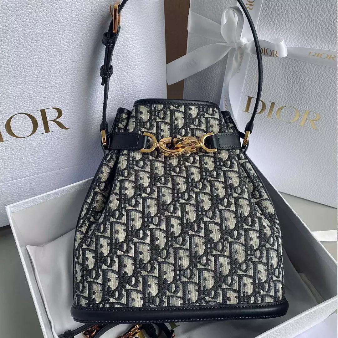 Dior Cest Canvas Backpack Super Embroidered Pattern Black 24x10x24.5cm