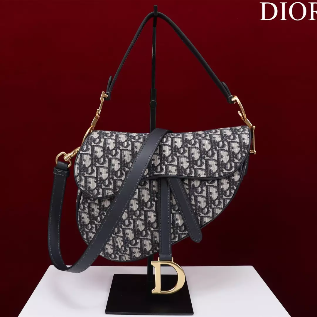 Dior Saddle Saddle Canvas Handbag Super Quality Hand Embroidered 25.5x20x6cm