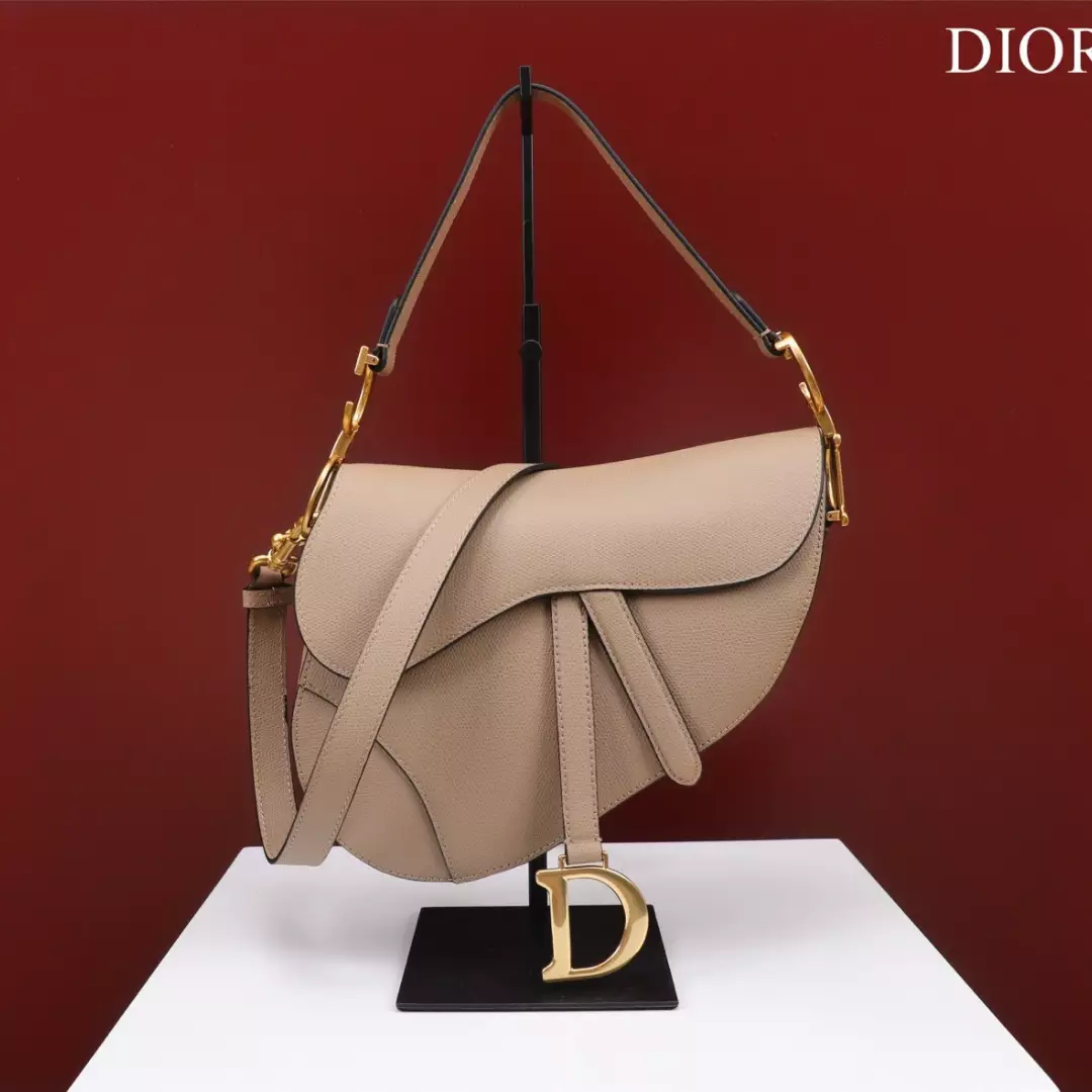 Dior Saddle Saddle Women’s Handbag 25x20x6.5cm